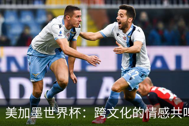 美加墨世界杯：跨文化的情感共鸣